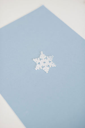 10 Pack Acrylic Holiday Snowflake Ornament