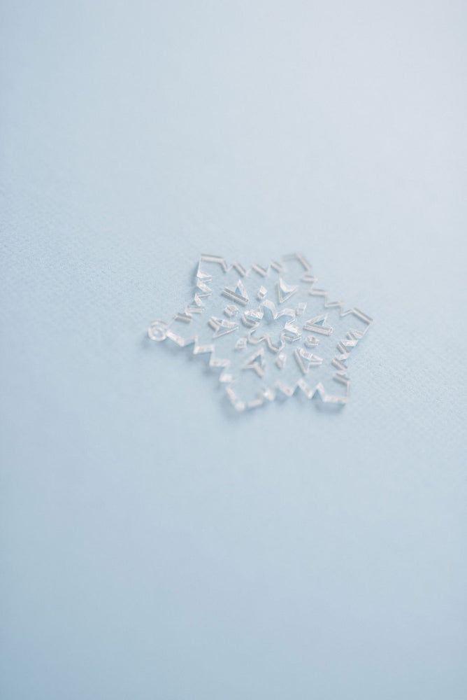 10 Pack Acrylic Winter Joy Snowflake Ornament